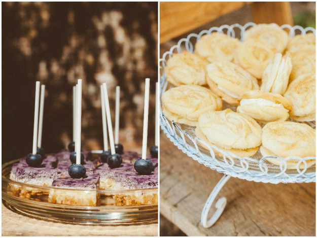 Mini Blueberry Cheesecake <span class="amp">&</span> Rose Biscuits