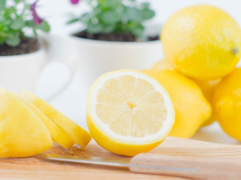 Frühling bei Jasmin