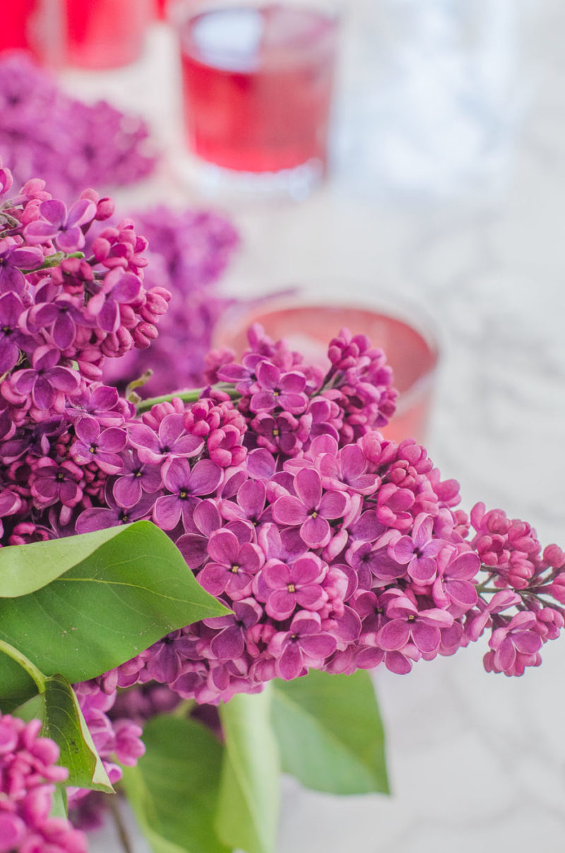 Drink mit Flieder, Cocktail mit Flieder, Foodistas Drink › foodistas.de