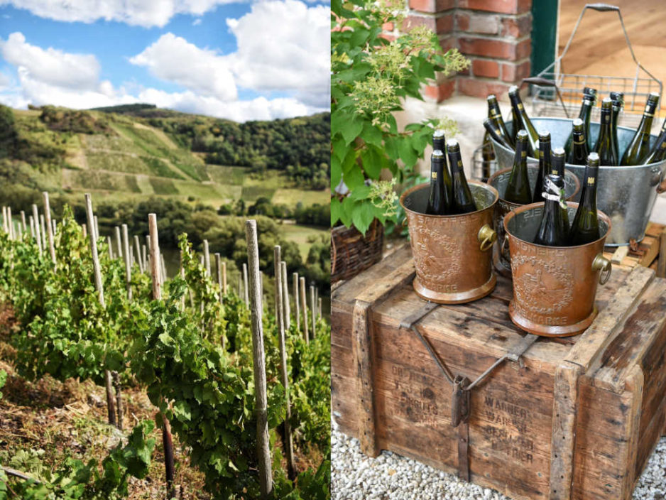 Beitragsbild Saar Riesling Sommer