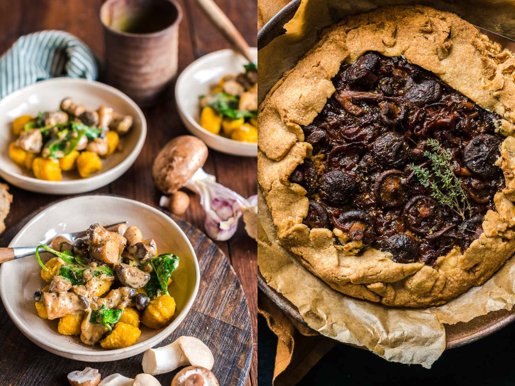 Pilze Beitragsbild‑2