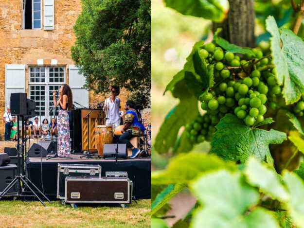 Collage Beitragsbild Plaimont Option I